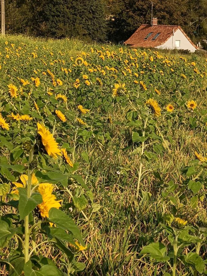 Gîte dans le pré Hesdin l'abbé Carly Esterno foto